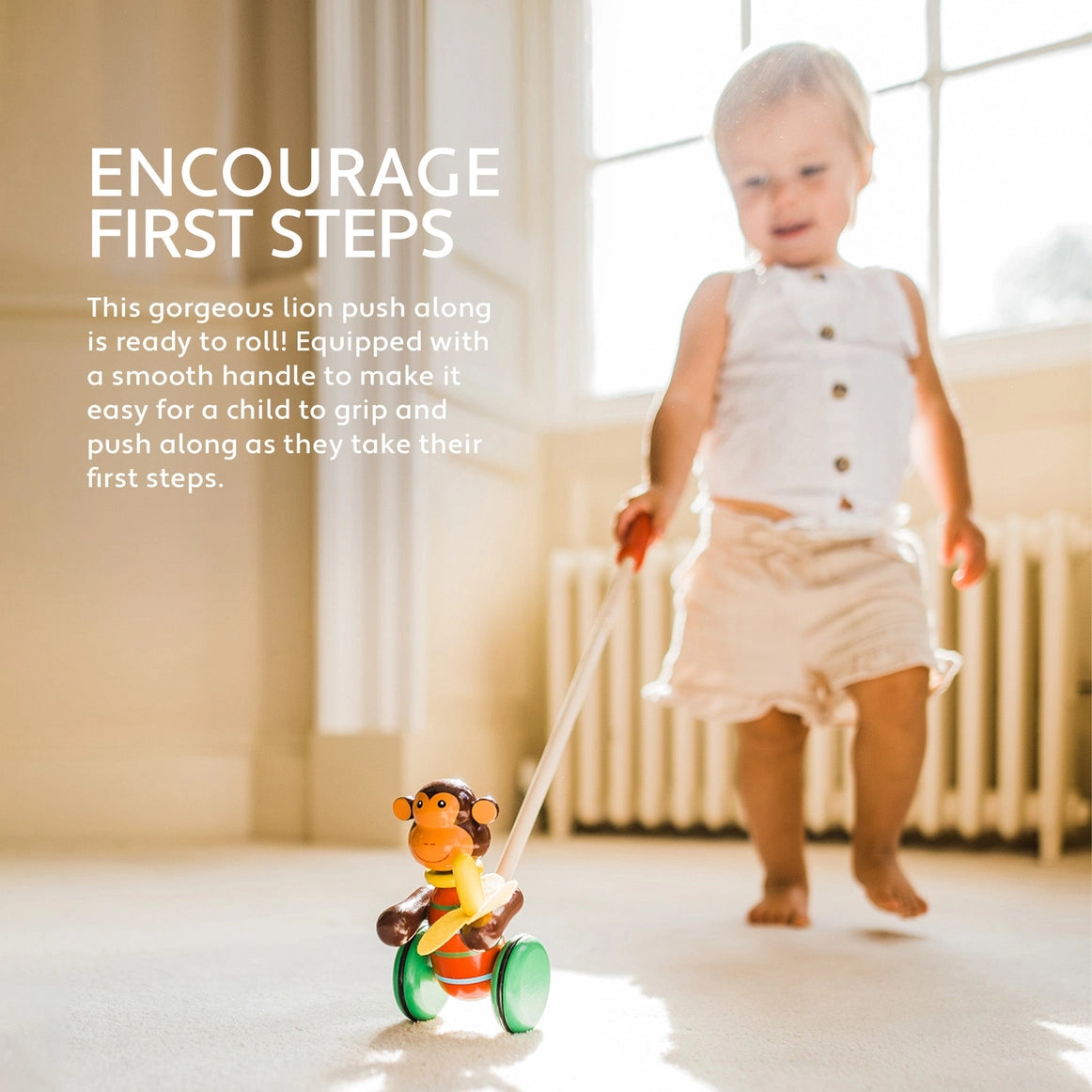 Monkey Wooden Push Along