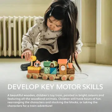 Woodland Woodend Puzzle Train