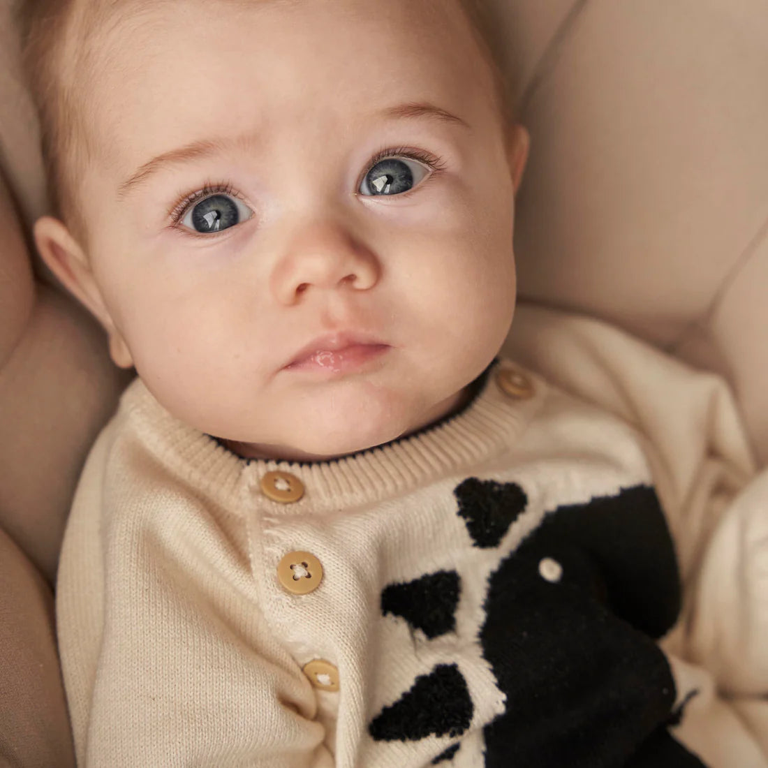 Dino Jumper 6-12 months