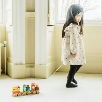 Woodland Woodend Puzzle Train